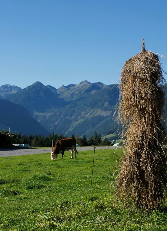 Landl Vorberg Vila Ramsau am Dachstein Exterior foto