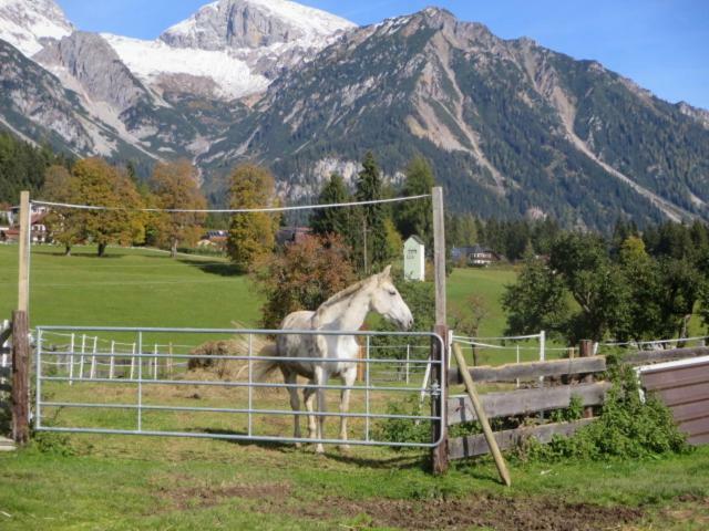 Landl Vorberg Vila Ramsau am Dachstein Exterior foto